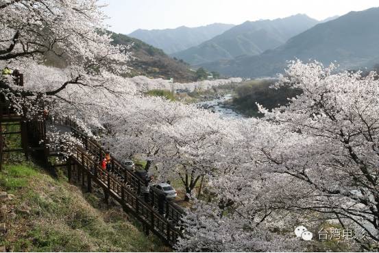 阿里山在哪里_我用尽一生去追求完美与智慧_类似用尽一生去爱的文