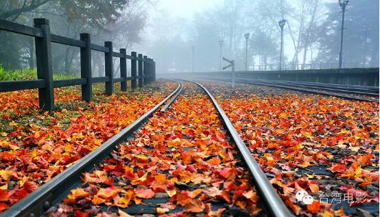 阿里山在哪里_我用尽一生去追求完美与智慧_类似用尽一生去爱的文