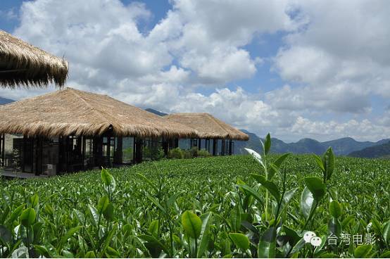 我用尽一生去追求完美与智慧_类似用尽一生去爱的文_阿里山在哪里
