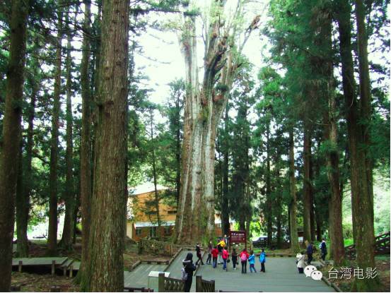 我用尽一生去追求完美与智慧_阿里山在哪里_类似用尽一生去爱的文