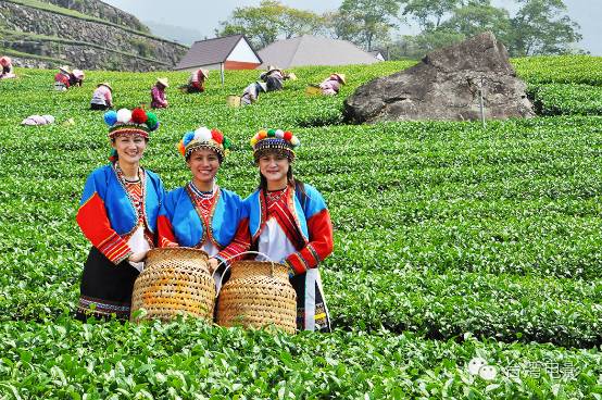 阿里山在哪里_类似用尽一生去爱的文_我用尽一生去追求完美与智慧