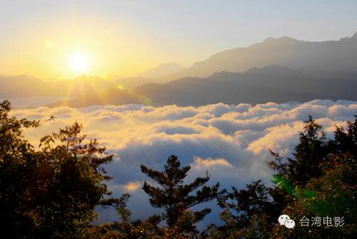 我用尽一生去追求完美与智慧_阿里山在哪里_类似用尽一生去爱的文