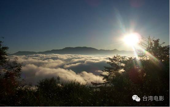 我用尽一生去追求完美与智慧_阿里山在哪里_类似用尽一生去爱的文