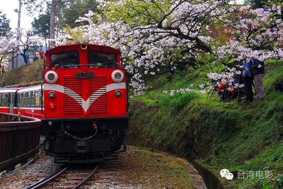 我用尽一生去追求完美与智慧_阿里山在哪里_类似用尽一生去爱的文