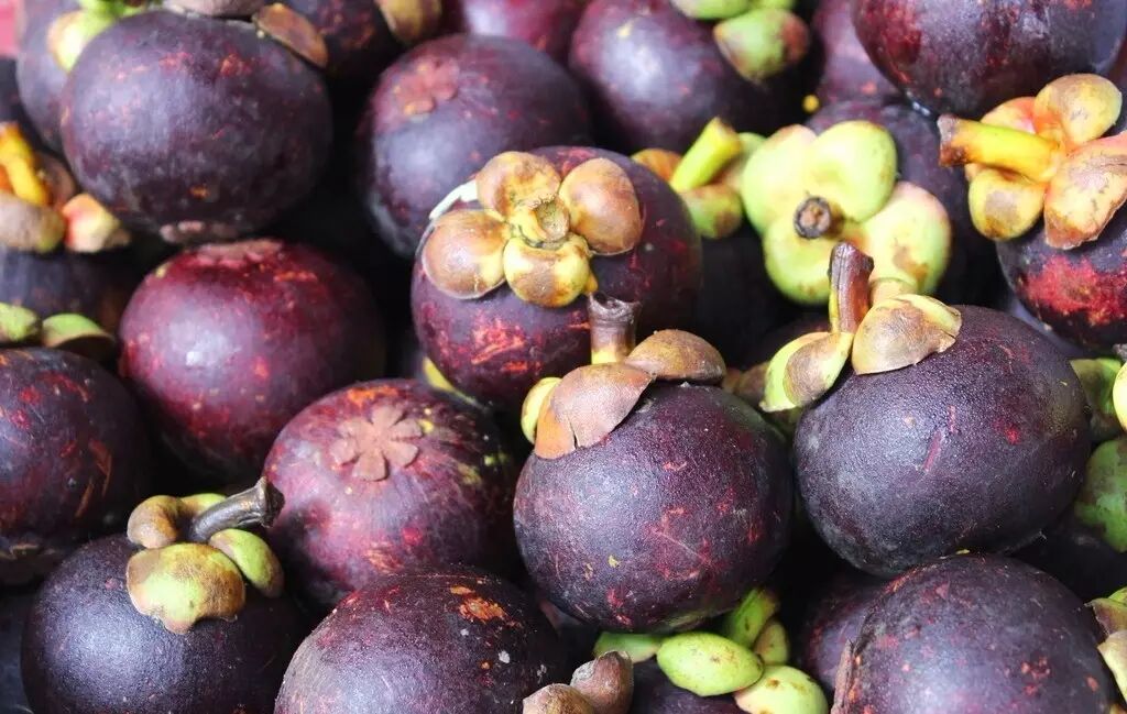 水果皇后正当季,健脾生津,清热解毒,这样挑更美味!