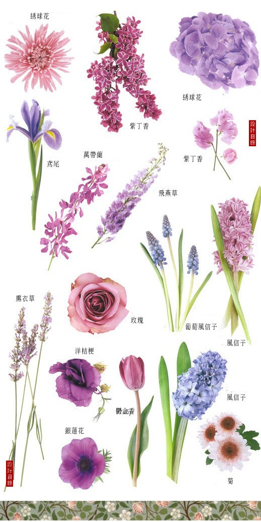 生活百科 花花世界 最全花名目錄集 您必需收藏 微信上的中國