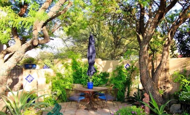 一个小院，看繁花爬满篱笆