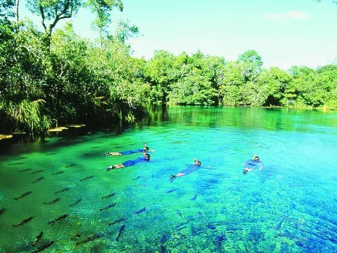 世界上最透明的湖图片