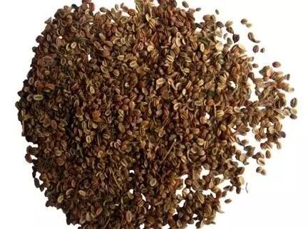 药方:牡丹花,天仙子,天茄花各均和.