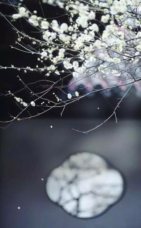 红木家具图片