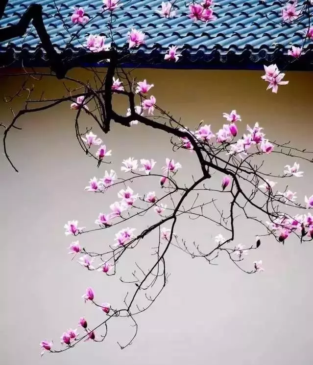 红木家具图片