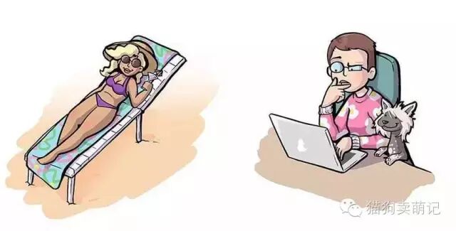 愛狗狗的人VS狗狗的主人，狗的世界誰更懂？ 寵物 第6張