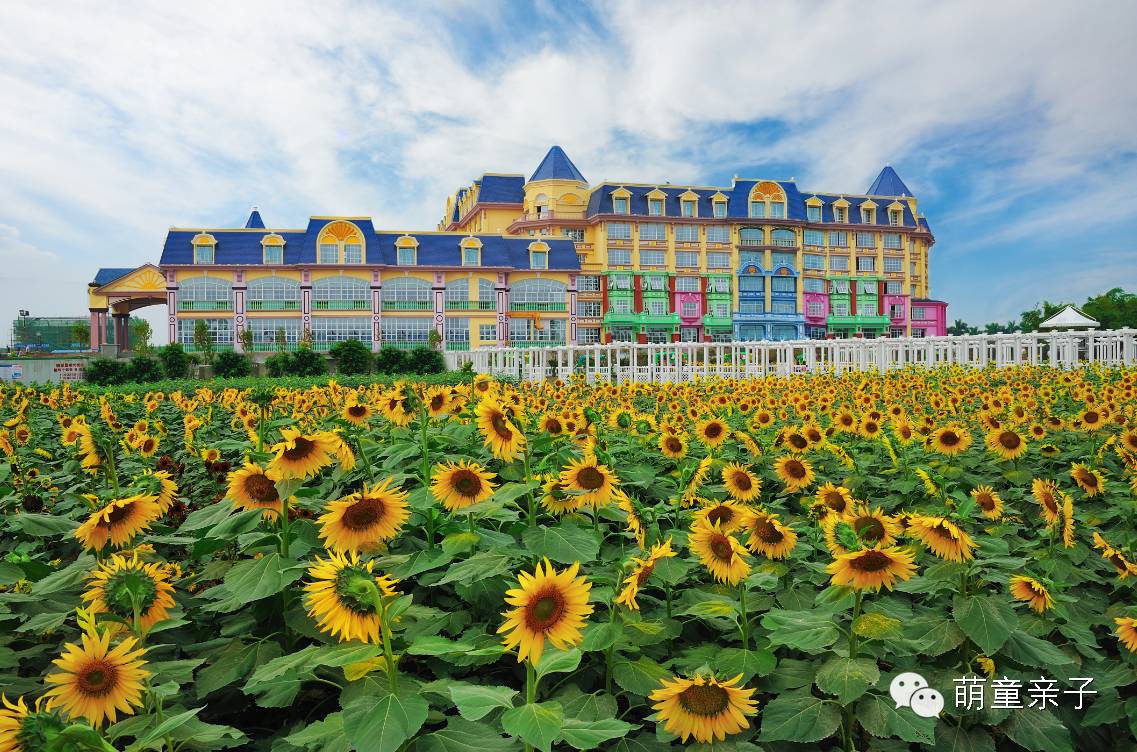 萌童亲子,百万葵园一日游!