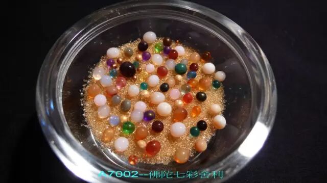 释迦牟尼佛真身舍利瞻礼获福无量转发功德无量