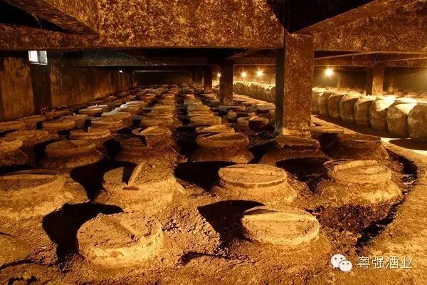 白酒科普|涨知识！浓香型白酒酿酒工艺有何特点？