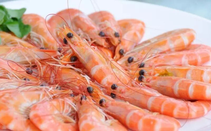 环岛游,金海湾红树林赶海, 阳江海陵岛大角湾 海上乐园  自驾房车五天