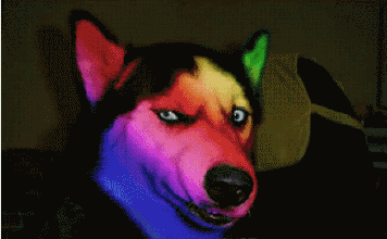 注意前方高能预警,小心你的钛合金狗眼!