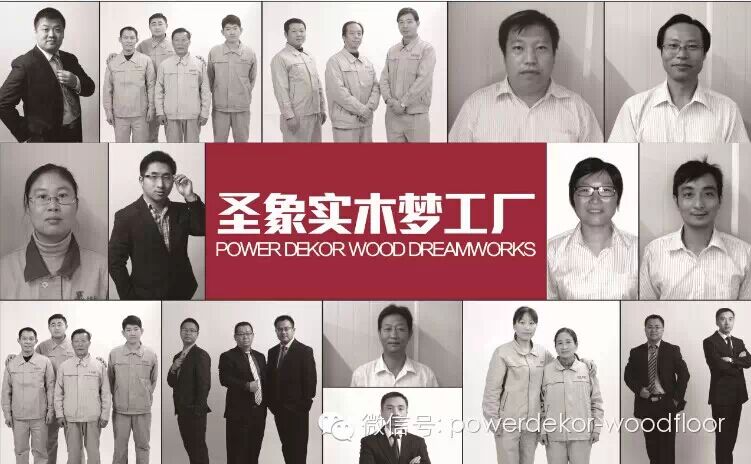 中国最大的三层实木生产基地:『圣象三层实木梦工厂』;『圣象老板买