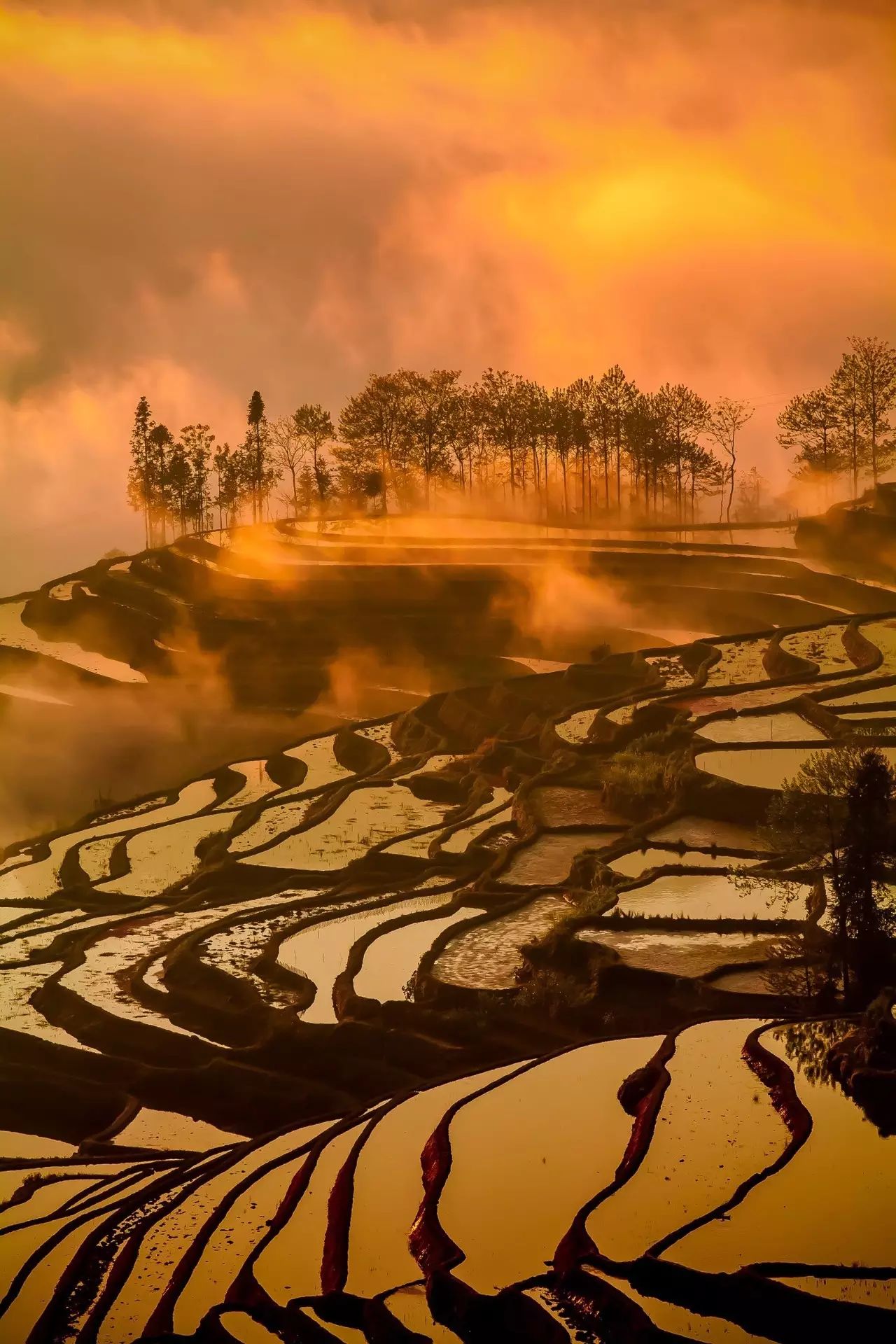 私藏小眾目的地|從未被列入旅行清單的滇南古城——建水