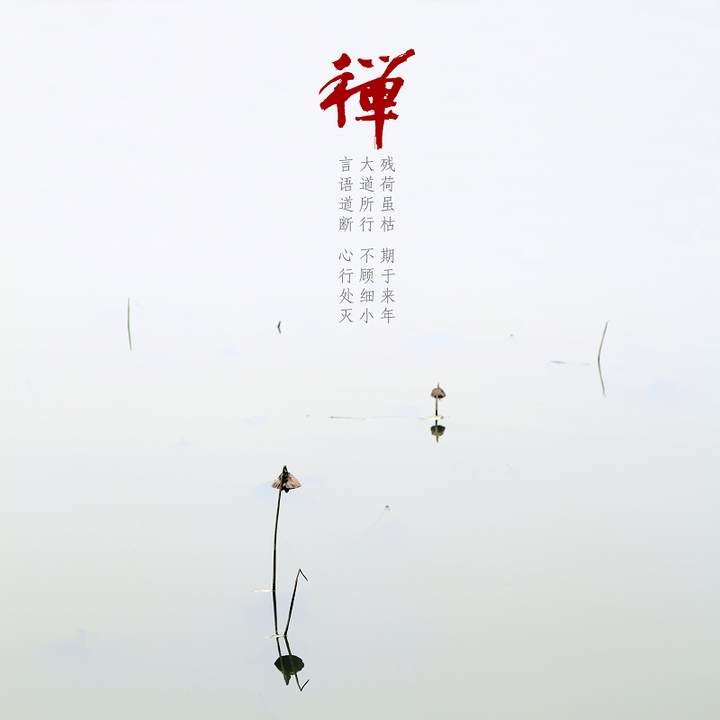 一起品禅 禅意思维的九种 静界 文章