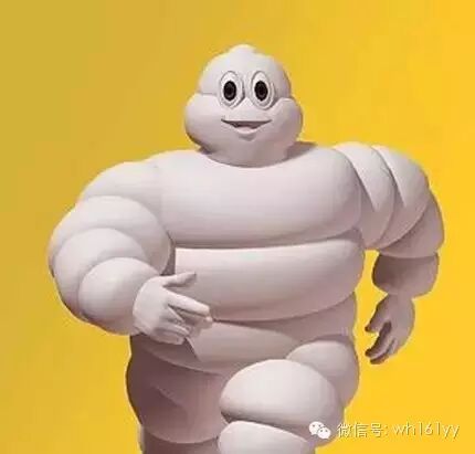 蛇精脸和米其林的搭配这件事你怎么看