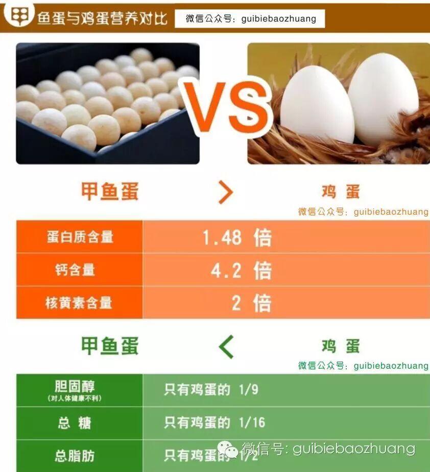 鳖蛋的保健功效 甲鱼蛋 鳖蛋能提高人体免疫,促进新陈代谢,增强人体