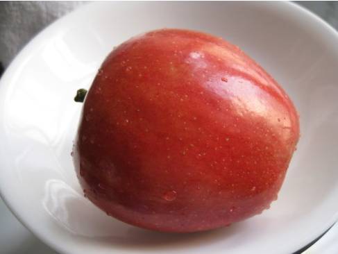 別再生啃蘋果啦！今天就告訴你吃蘋果的瘦身真相！！ 運動 第2張