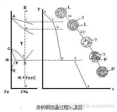 铁碳合金结晶过程图片