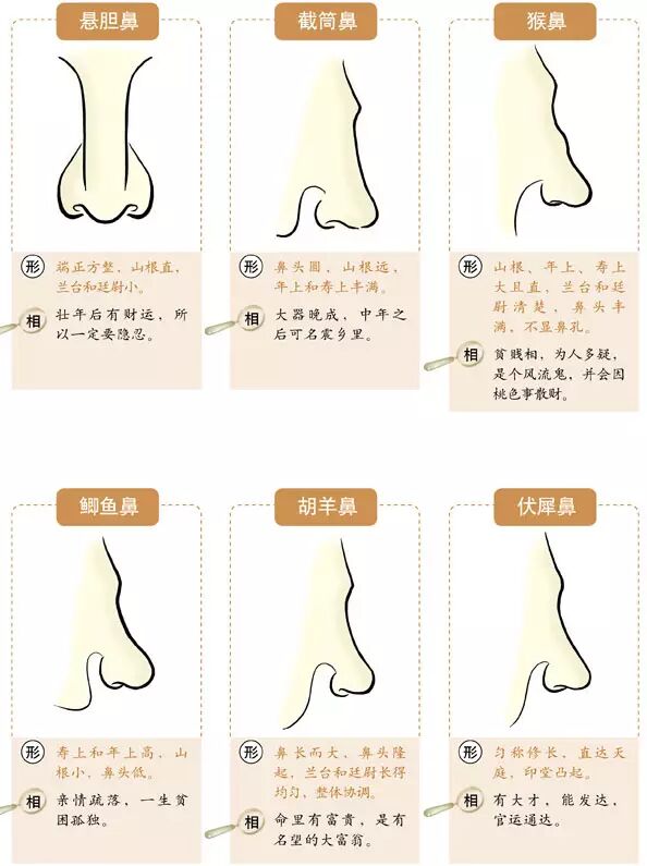 鼻头暗红的面相,长时期内运势不得好转,并且容易破偏财,脾胃不好,财禄