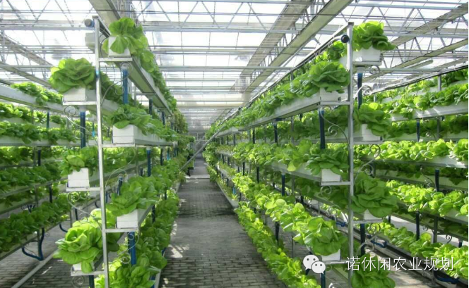 立体农业是"种植业,畜牧业与加工业有机联系的综合经营方式,是农作物