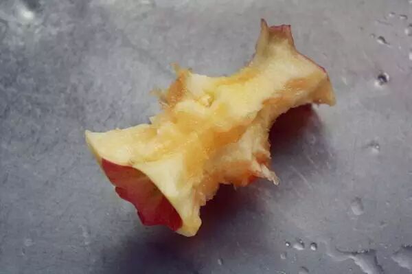 苹果核 → 苹果树