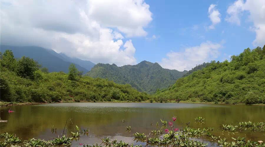 汉源桌子山:草原,天池,报春花海!(附路线)