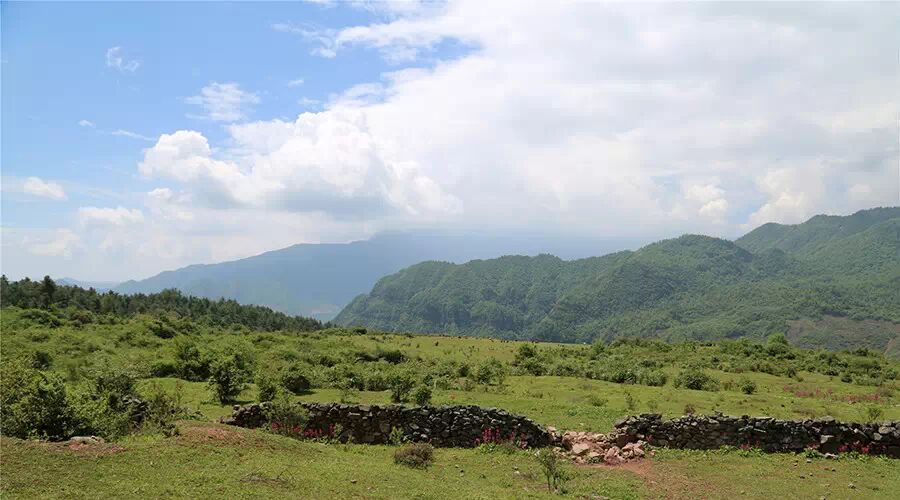 汉源桌子山:草原,天池,报春花海!(附路线)
