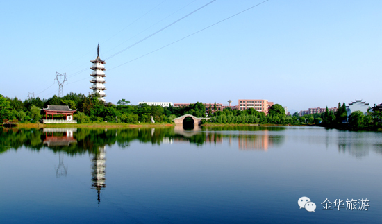 讓我告訴你,那就去大黃山中國茶花文化園吧.