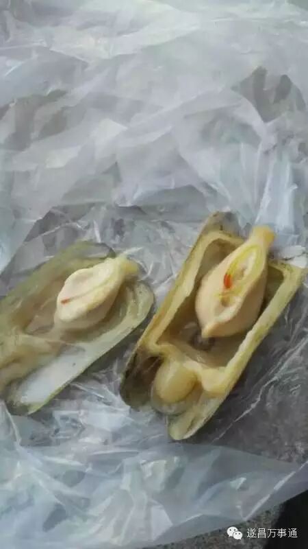 遂昌市民蛏子里吃出寄生虫!真相是.那玩意叫"晶杆"
