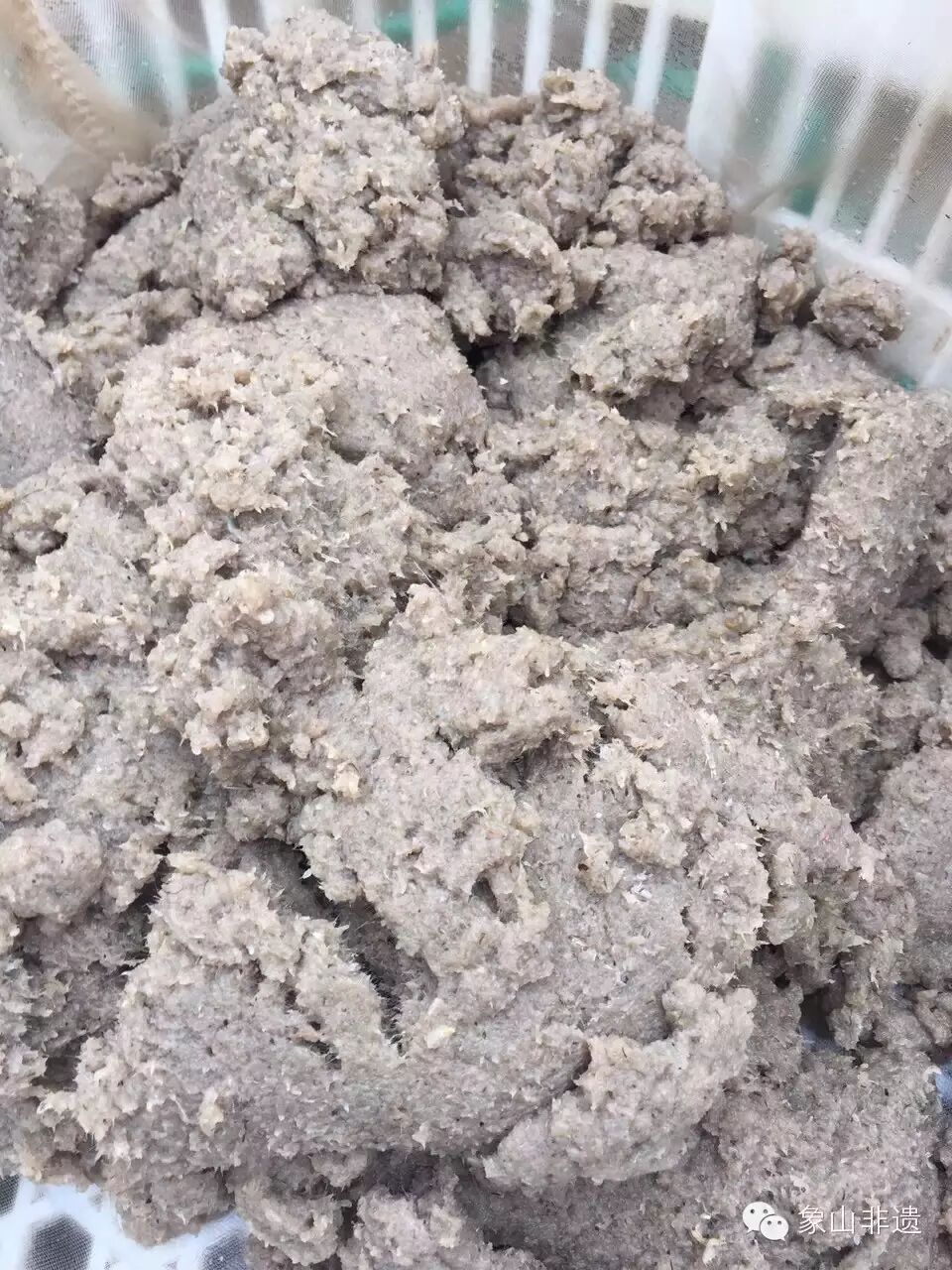 他们会根据潮水的变化,推断出虾籽的迁徙,而灵活掌