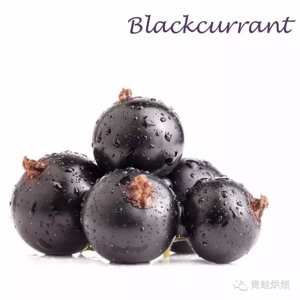 黑醋栗(blackcurrant)又名黑加仑(不是葡萄里的黑加仑~,区别就和南瓜