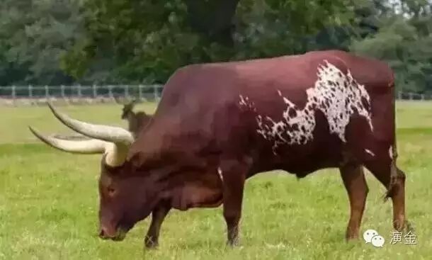 演金:穷人的赚钱哲学