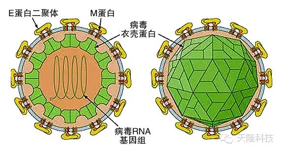 西安天隆科技有限公司-bring technology to life !