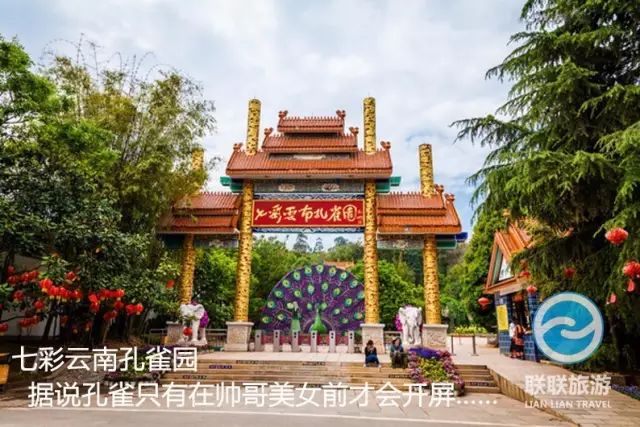 早餐後返回昆明,遊覽七彩雲南孔雀園,用中餐,下午遊覽滇池大壩,與