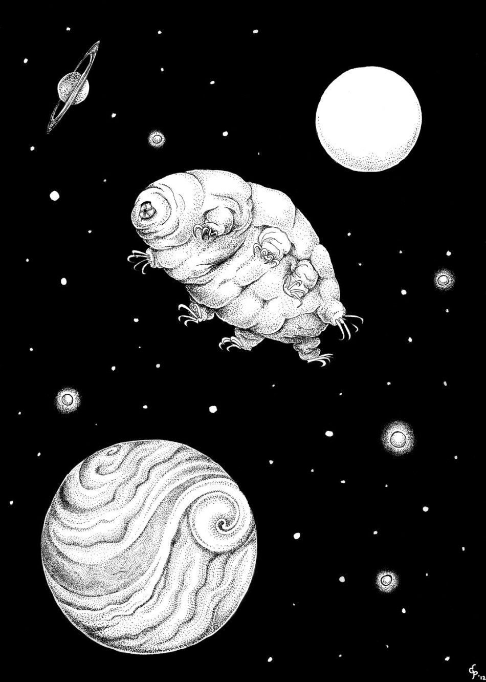 图集小生命大顽强外太空极端环境都杀不死的水熊