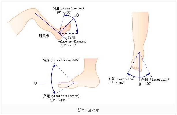 关节活动度图图片