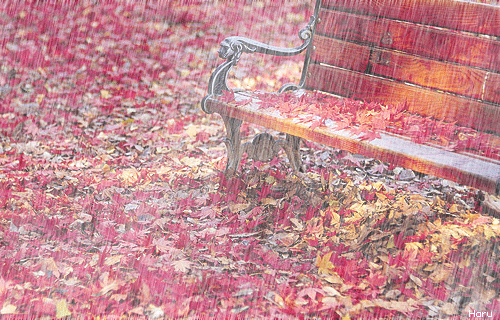 秋风扫落叶gif图片