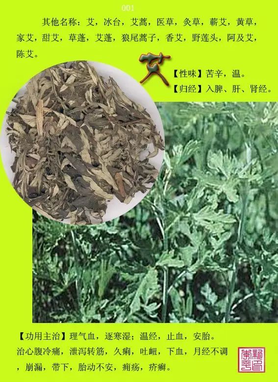 这300种最常见的中草药图谱给你整理好了，墙裂建议收藏！