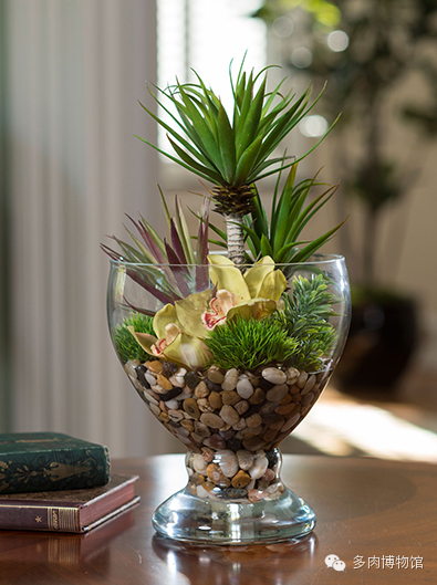 50组超美的多肉微景观