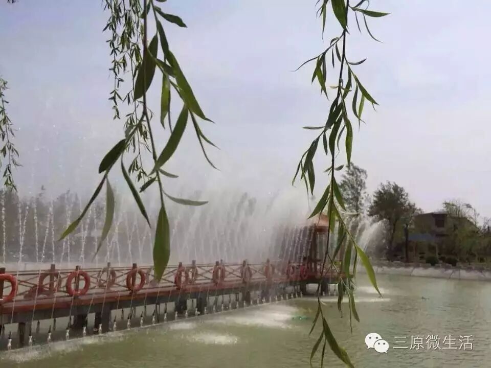 【热烈祝贺】三原县陂西镇陂西村被省政府命名为省级生态村!