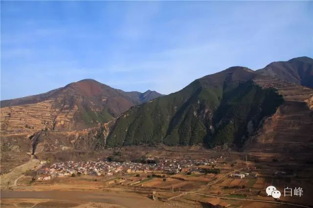 張國平(甘肅天水市麥積區三岔鎮黃龍村人) 甘肅天水市麥積區三岔鎮