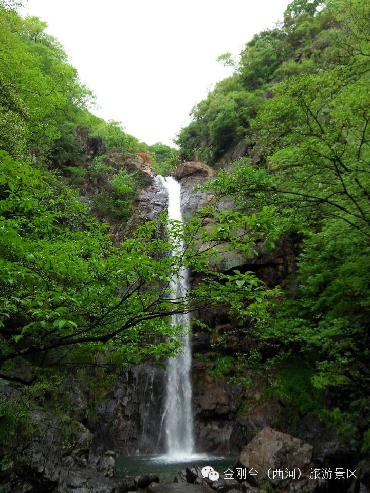 等我遇到你带你玩转金刚台西河生态旅游区