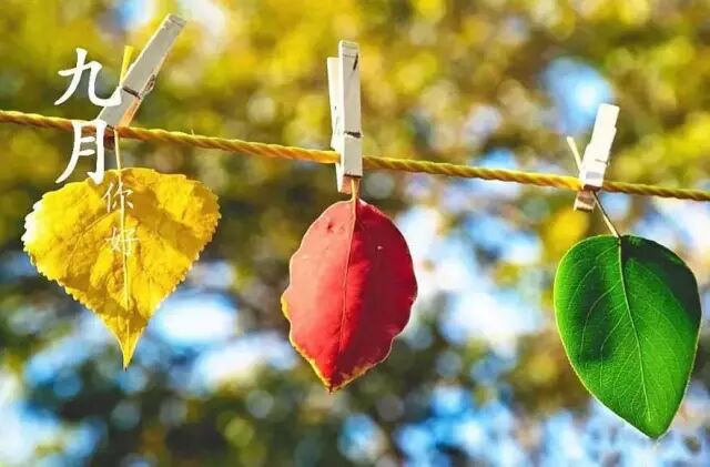 九月你好，愿一切的美好都不期而遇
