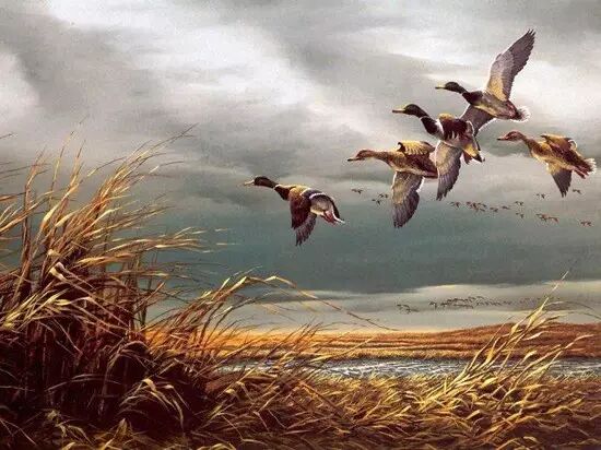 直销界最接近成功的十种人！